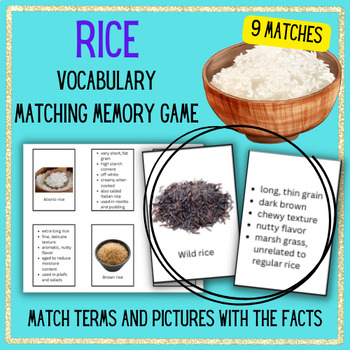 Preview of RICE Definitions Vocabulary Memory Matching Game Prostart Flash Cards