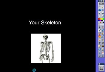 Preview of RIGOR Reading Invervention Level 1-Unit 7- Your Skeleton flip chart