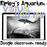 RIPLEY'S AQUARIUM VIRTUAL FIELD TRIP || DISTANCE LEARNING 