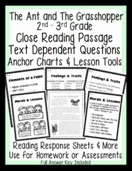 Preview of RL.2 RL.3 Common Core Aligned Assessment, Close Reading Passage, Anchor Chart
