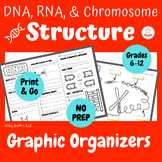 RNA, DNA, and Chromosome Structure Graphic Organizers