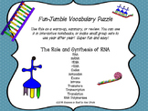 RNA Protein Synthesis Vocabulary Puzzle