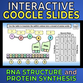 RNA Structure and Protein Synthesis -- Interactive Google Slides