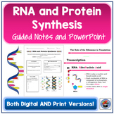 RNA and Protein Synthesis Guided Notes and PowerPoint