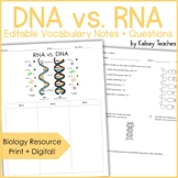 RNA vs DNA Vocabulary Graphic Organizer | Biology