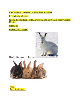 Preview of RST  NJSLA ESSAY RABBITS AND HARES