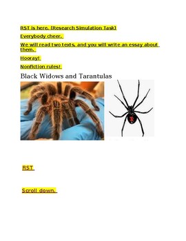 Preview of RST NJSLA Nonfiction Black Widows and Tarantulas  Essay