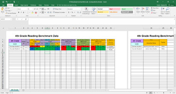 Preview of RTII Reading Data Chart Template