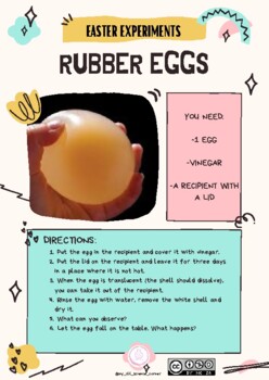 Preview of RUBBER EGGS EXPERIMENT