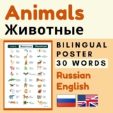 RUSSIAN ANIMALS Russian English vocabulary