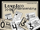 Levels of Understanding Posters Rustic Theme with Student 