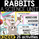 Rabbits Science Animal Study Lessons and Activities for Ki