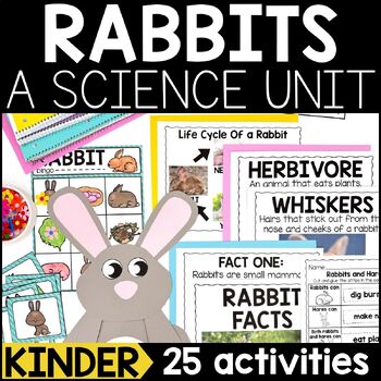 Preview of Rabbits | Spring Science | Bunny Animal Research Project, Craft, & Activities