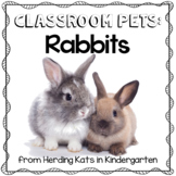 Rabbit Classroom Pet