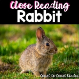 Rabbit ~Close Read ~Nonfiction