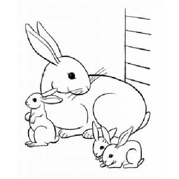 Rabbit Coloring Pages for Kids by MKStore | TPT