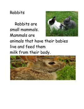 Rabbit Facts by Lisa Wishart | Teachers Pay Teachers