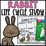 Rabbit Life Cycle | Spring Easter Science | Preschool Kind