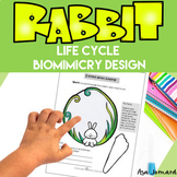 Rabbit Life Cycle | PBL Biomimicry Design Inspired by Natu
