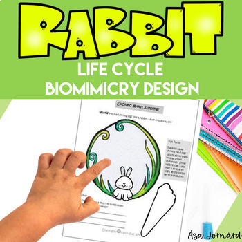Preview of Rabbit Project | Life Cycle | Biomimicry Design Activities | Nonfiction