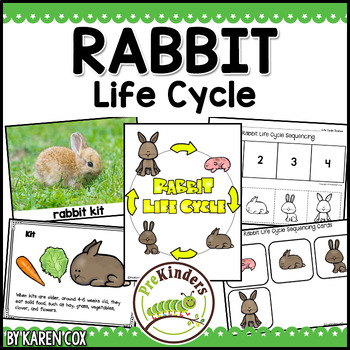 Preview of Rabbit Life Cycle, Spring Science, Book, Sequencing, Photos