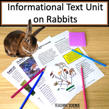 Preview of Summer Reading Passages Rabbit Life Cycle & Adaptations Informational Text