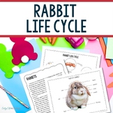 Rabbit Life Cyle Worksheets