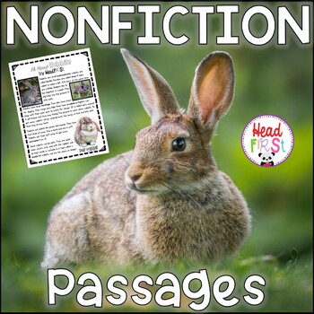 Preview of Rabbit Reading Comprehension Passages Questions Writing Activities Easter Bunny