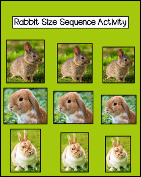 Preview of Rabbit Size Sequence Activity