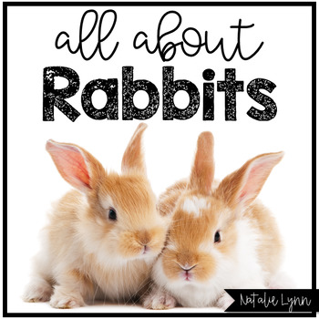 Preview of Rabbit Unit | All About Rabbits