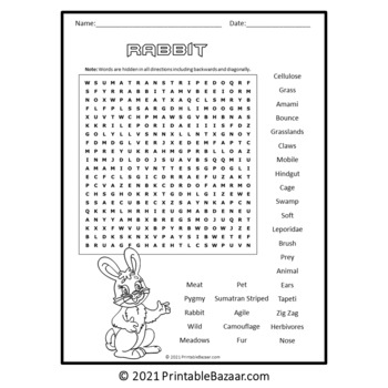 Rabbit Word Search Puzzle - No Prep Activity Printable PDF