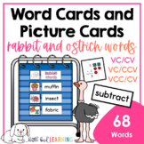 Rabbit Words (VC-CV) and Ostrich Words (VCCCV) - Word Card