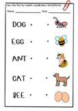Rabbit worksheets - match the image to the word (draw a line)