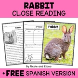 Rabbit Close Reading Comprehension Passage Activities + FR