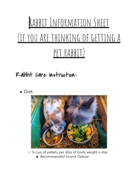Preview of Rabbits Informational Packet