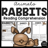Rabbits Informational Text Reading Comprehension Worksheet Spring
