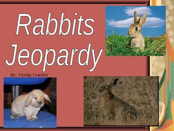 Preview of Rabbits Jeopardy Powerpoint