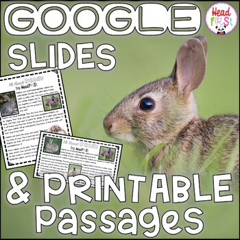 Preview of Rabbits NONFICTION Digital GOOGLE SLIDES and PRINTABLE Passages and Activities