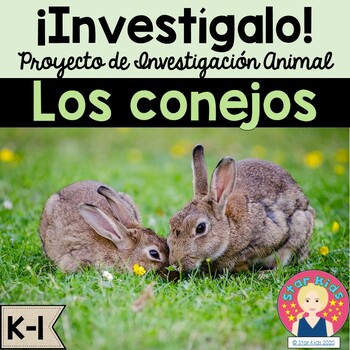 Preview of Rabbits Research in Spanish for K-1