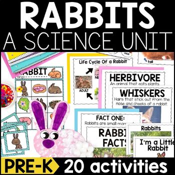 Preview of Rabbits Pre-K Unit | Bunny Lessons and Activities | Preschool Spring Science
