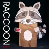 Raccoon Craft
