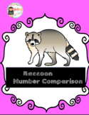 Raccoon Number Comparisons