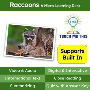 Preview of Raccoons Informational Text Reading Passage and Activities