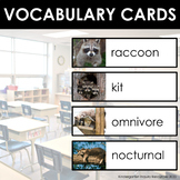 Raccoons | Word Wall/ Vocabulary Cards