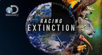 Preview of Racing Extinction Documentary Viewing Guide Discovery Channel