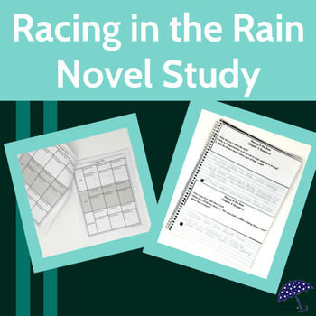 the art of racing in the rain novel