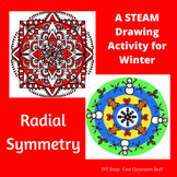 Radial Symmetry Drawing for Winter - STEAM/STEM Activity