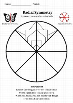 Preview of Radial Symmetry Worksheet