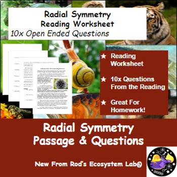 Preview of Radial Symmetry in Animals Reading Worksheet **Editable**