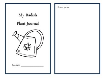 Preview of Radish Plant Journal